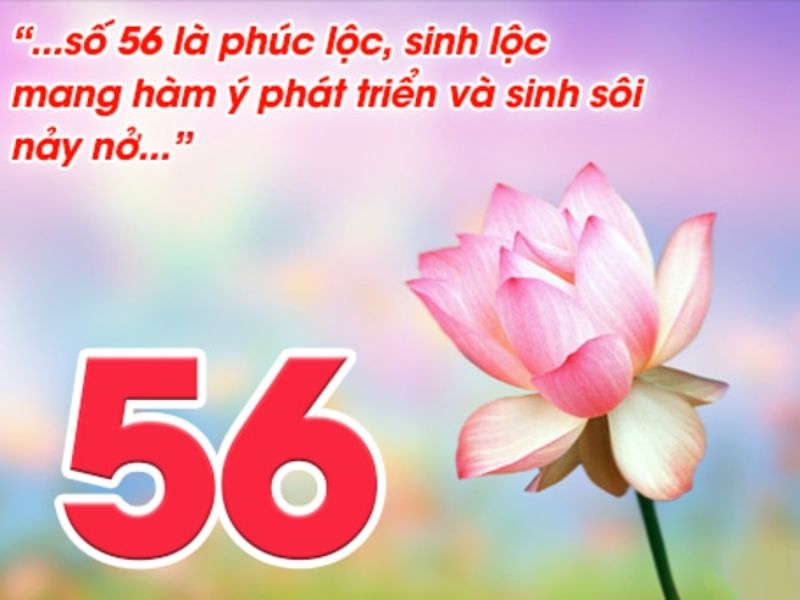 Giải mã số 56 mang đến tài lộc